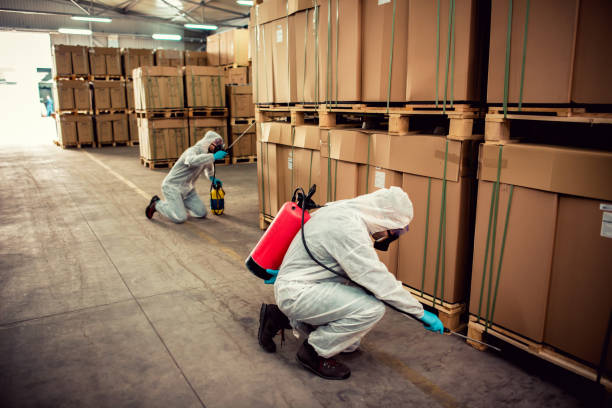 Best Exterminator Services  in Mackinac Island, MI
