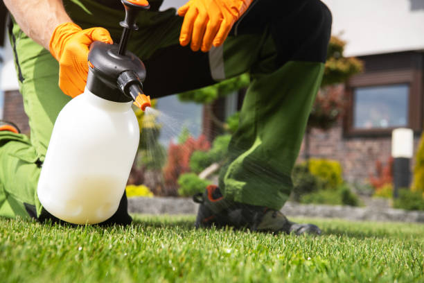 Best Affordable Pest Control Services  in Mackinac Island, MI