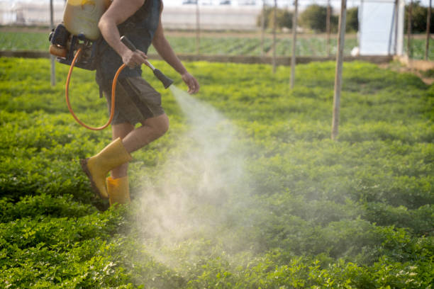 Best Mosquito Control Services  in Mackinac Island, MI