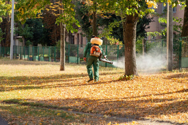 Best Exterminator Services  in Mackinac Island, MI