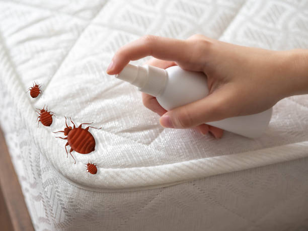 Best Pest Prevention Services  in Mackinac Island, MI