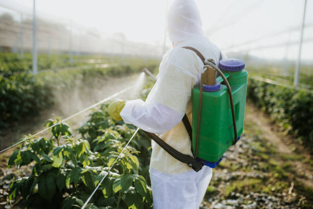 Best Pest Removal Services  in Mackinac Island, MI